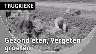 Gezond eten, Vergeten groeten: Trugkieke 15 Februari 2019