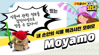 모야모 사용 및 활용법, how to use Moyamo