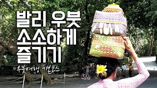 퇴사 여행 브이로그 | Ep07. 발리 우붓 여행 소소하게 즐기기! / 우붓 한식 우붓 스타벅스 우붓 아트마켓 우붓 여행 포인트