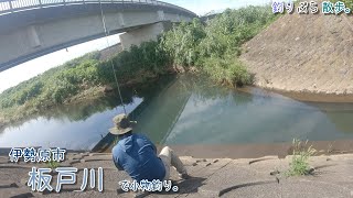 大山の麓 伊勢原 板戸川で小物釣り。36度のとろけそうな日・・。