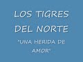 los tigres del norte una herida de amor