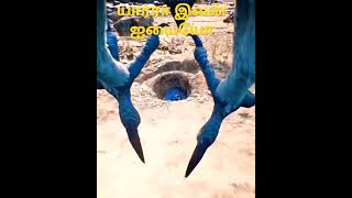 நல்லா மாட்டிகிச்சே தல எடுக்க முடியலையே?/ please help me