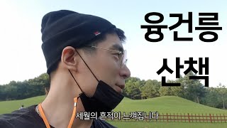 30년만에 화성 융건릉 가보기 vlog