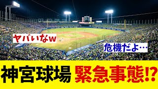 神宮球場がまさかの危機に！？果たしてなぜなのか・・・【野球情報】【2ch 5ch】【なんJ なんG反応】