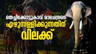 തെച്ചിക്കോട്ടുകാവ് രാമചന്ദ്രനെ എഴുന്നള്ളിക്കുന്നത് വിലക്കി ഹൈക്കോടതി | Thechikottukavu Ramachandran