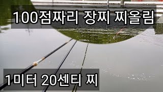 장찌 찌올림 보기