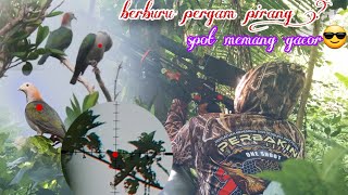 BERBURU PERGAM JUMBO !! DI SPOT BARU BONUS DUREN MANTPP !!BOCAP PREDATOR 500CC!!