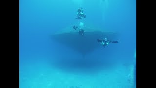 Reef Shark @ Cobia Cage (uncut)