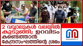 നിപ വൈറസിന്റെ ഉറവിടം കണ്ടെത്താന്‍ കേന്ദ്രസംഘത്തിന്റെ ശ്രമം I Repeating Nipah cases in Kerala