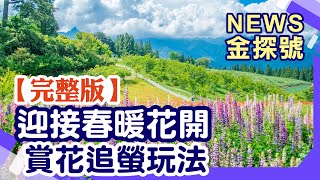 賞花賞螢一次滿足!春遊攻略白天晚上就這樣玩!【News金探號 20220507】