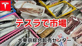 [テスラで市場] 大東京綜合卸売センター　1/2