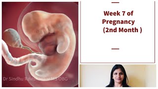 Week 7 of Pregnancy - Weekly Pregnancy Signs and Symptoms in Kannada!!