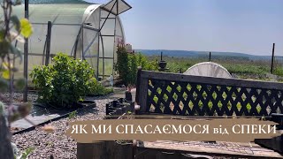 ПРИЙШЛА СПЕКА☀️/садові справи у травні👌