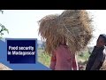 Crop losses in Southern Madagascar due to El Niño-induced drought