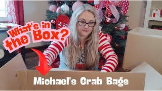 EXCITING Unboxing Michael's Grab Bags!!!  Teletrogy Shoe Laundry Bag