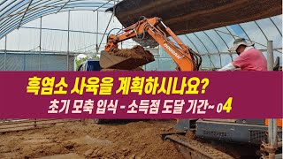 04 흑염소 사육을 계획하시나요?   초기 모축입식 소득점 도달기간