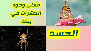 السبب الطاقي لوجود الحشرات بالبيت