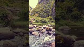 Amazon River 4k -  In One Of The World’s Largest Rivers | Scenic Relaxation Film #viral #shotsvideo