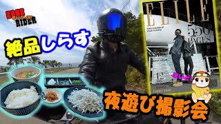 【リピート確定】和歌山に絶品しらす丼を食べに行ってきた！【モンキー125】