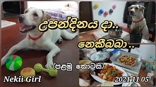 The Smart Dog ,Neki's Birthday(Part 01) ..| නෙකීබබාගෙ උපන්දිනය ..|2021 11 05