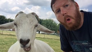 30 Minutes of the Greatest Goats of All Time