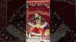 ⚜️श्रीकुँजबिहारीजी की शयन-आरती के दर्शन ||⚜️[02 January,2025]🌺#youtube#radha#laddugopal#bankebihari🌺