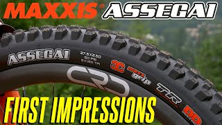 Maxxis Assegai - First Impressions 🤘Better than the Minion DHF??