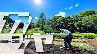 I started a full-scale field / I found a treasure when I dug the garden !?