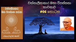 චත්තාළීසාකාර මහා විපස්සනා භාවනාව #06 කොටස