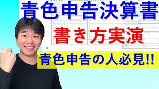 実演！青色申告決算書の書き方、飲食店を一例に取り上げて説明【青色申告の個人事業主・フリーランス、10万円の青色申告特別控除】