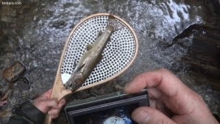 2013年06月07日「恵みの雨。welcome rain.」tenkara.com