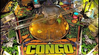 Part 1: 1995 Williams Congo Pinball Project Begins!