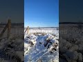 la baraque michel.pastaiga belģijas 🇧🇪ardennes sniegos.hautes fagnes