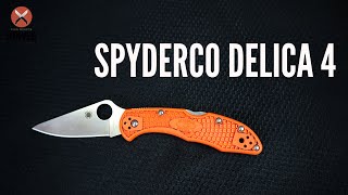 Spyderco Delica - The one that bit me . . .