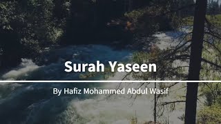 Surah Yaseen FULL HD | Yasin Quran beautiful Recitations soft | Video | by Hafiz Mohammed Official