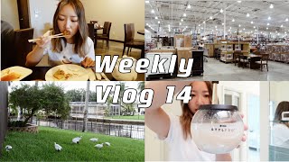 $10的stylpro洗化妆刷神器｜周末饮茶｜Homegoods与Costco家具上新｜后院野鸭变家鸭｜Weekly Vlog 14