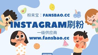 Instagram买粉教程，2024年一供应商分享推荐