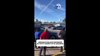 Immigration enforcement activity ramps up in Anaheim