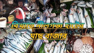 নীলগজ্ঞ হাটের মাছ বাজার | Nilganj hat | Nilganj haat | kolkata wholesale market | fish market | fish