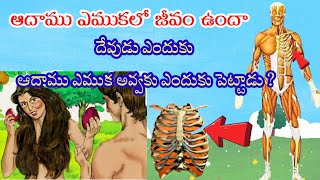 ఆదాము ఎముకలో జీవం ఉందా?sarvatrika sangham 09/07/2023