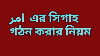 ফেইলে আমর গঠন করার নিয়ম. মিজানুস সরফ. #video #arabic