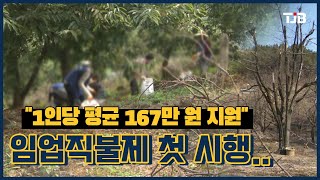 임업직불제 첫 시행..\