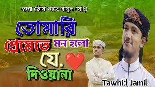হৃদয় ছোঁয়া নাতে রাসুল | Tomari premate mon Holo je  Diwana | Tawhid Jamil | kalarab