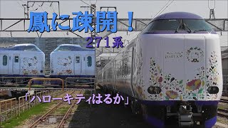 鳳に疎開された271系「ハローキティはるか」の横を子供に人気のあのキャラが