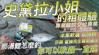 史黛拉小姐粗體驗 夢幻魚種湯鯉釣法