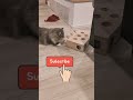 よそ見しながらも高難易度のおもちゃを使いこなす頭の良い猫【サイベリアンのラフィ】 shorts