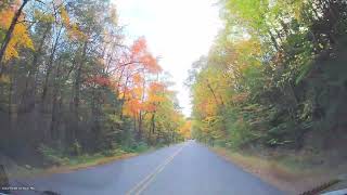 Blueskysea 4k Dashcam Relaxing Autumn Drive