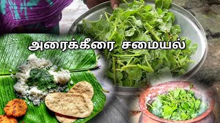 🌿😋சத்துக்கள் நிறைந்த அரைக்கீரை சமையல்🍲 : கிராமத்து ராணி பாட்டி ⁉️