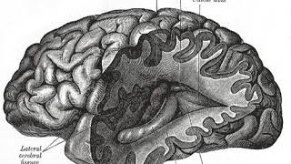 Neurotheology | Wikipedia audio article