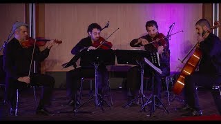 Alternative String Music | Papageorgio String Quartet | TEDxUniversityofNicosia